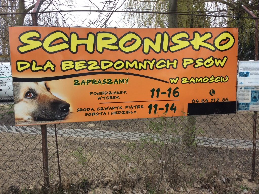 WYCIECZKA DO SCHRONISKA DLA BEZDOMNYCH PSÓW